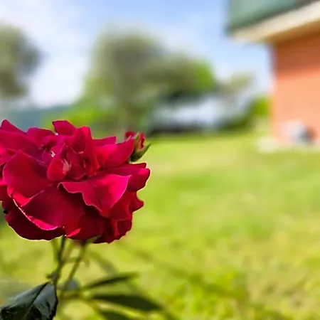 Hotel Relais Olivi